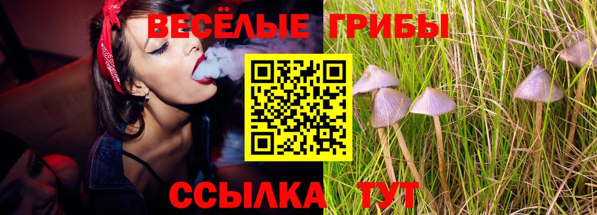 Псилоцибиновые грибы GOLDEN TEACHER Сертолово